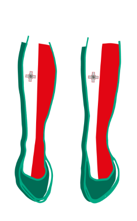 Illustration für den Mitgliedstaat Malta / Illustration for the Member State Malta