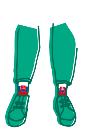 Illustration für den Mitgliedstaat Slowakei / Illustration for the Member State Slovakia