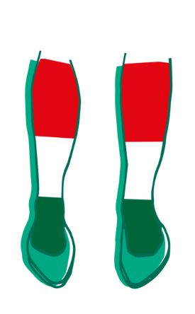 Illustration für den Mitgliedstaat Ungarn / Illustration for the Member State Hungary